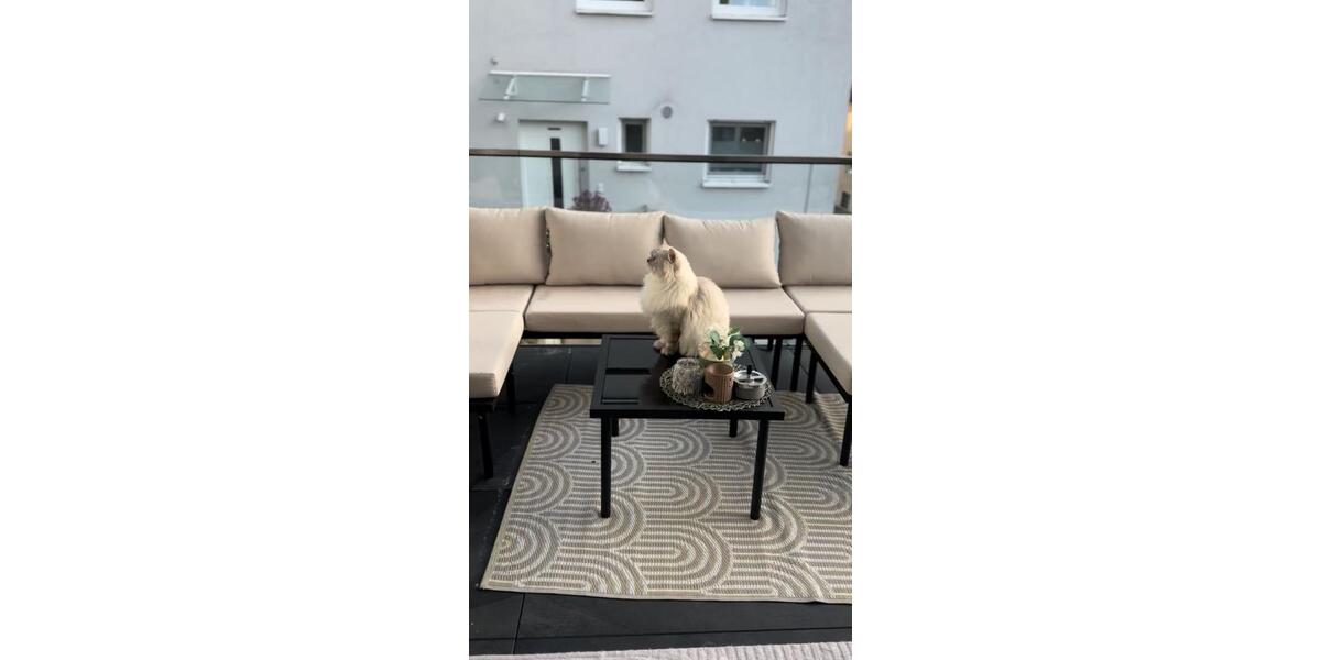 Etagenwohnung Esslingen am Neckar - 3 Zimmer, 69 m&sup2;, 1.340&euro; | Angebot:26039958