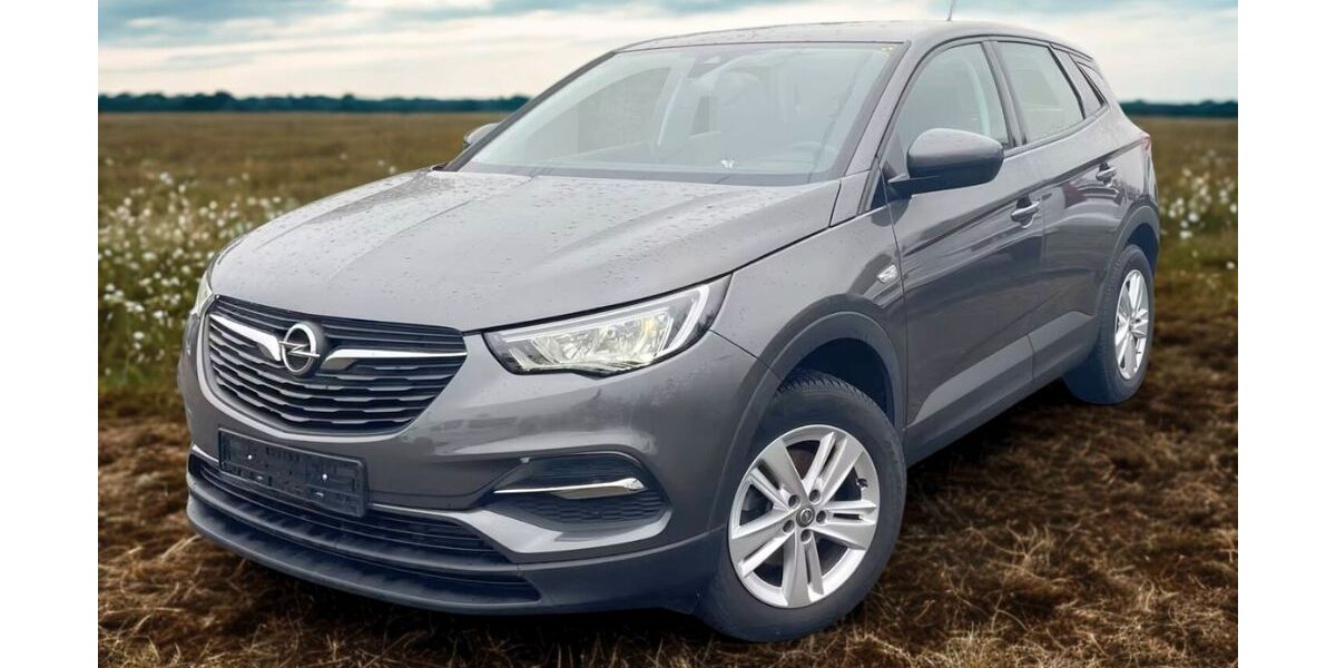 Opel Grandland (X) 78.500 km 13.200 &euro; Gärtringen 71116
