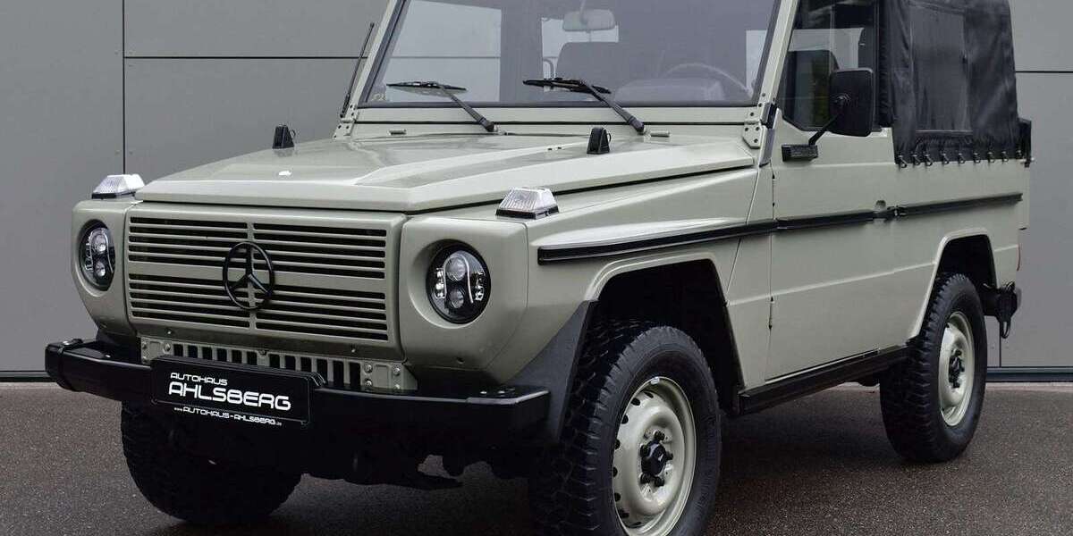 Mercedes-Benz G 250 44.000 km 42.900 &euro; Pfullingen 72793