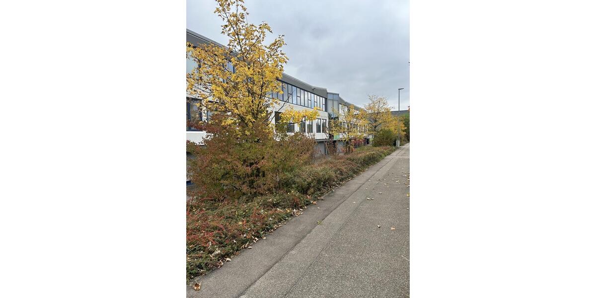 Gewerbeobjekt Tübingen Derendingen - 3.100&euro; | Angebot:23288294