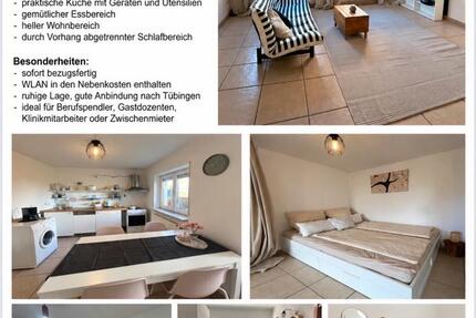Wohnung Tübingen - 1 Zimmer, 50 m&sup2;, 850&euro; | Angebot:27584670