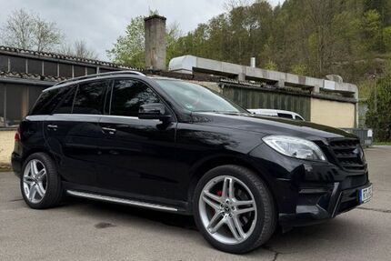 Mercedes-Benz ML 350 213.574 km 20.500 &euro; Bad Urach 72574