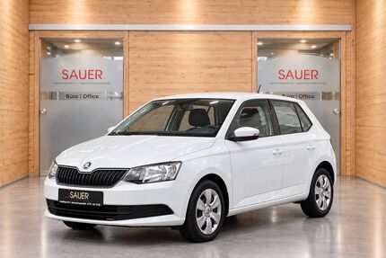 Skoda Fabia 99.600 km 7.700 &euro; Pfullingen 72793