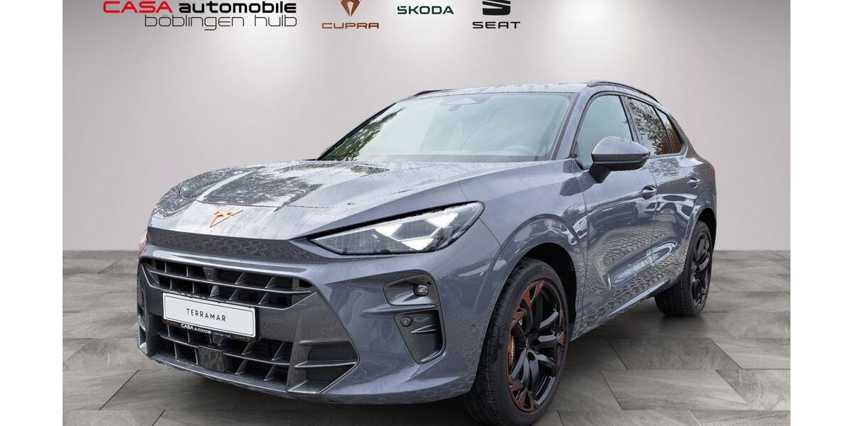 Cupra Terramar 5.000 km 54.490 &euro; Böblingen 71034