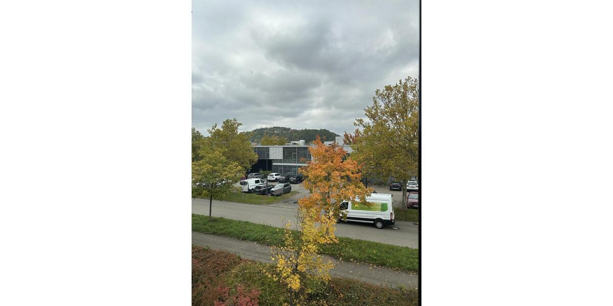 Gewerbeobjekt Tübingen Derendingen - 3.100&euro; | Angebot:23288294