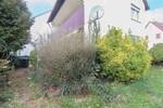 Einfamilienhaus Leinfelden-Echterdingen Leinfelden - 6 Zimmer, 549.000&euro; | Angebot:26805880