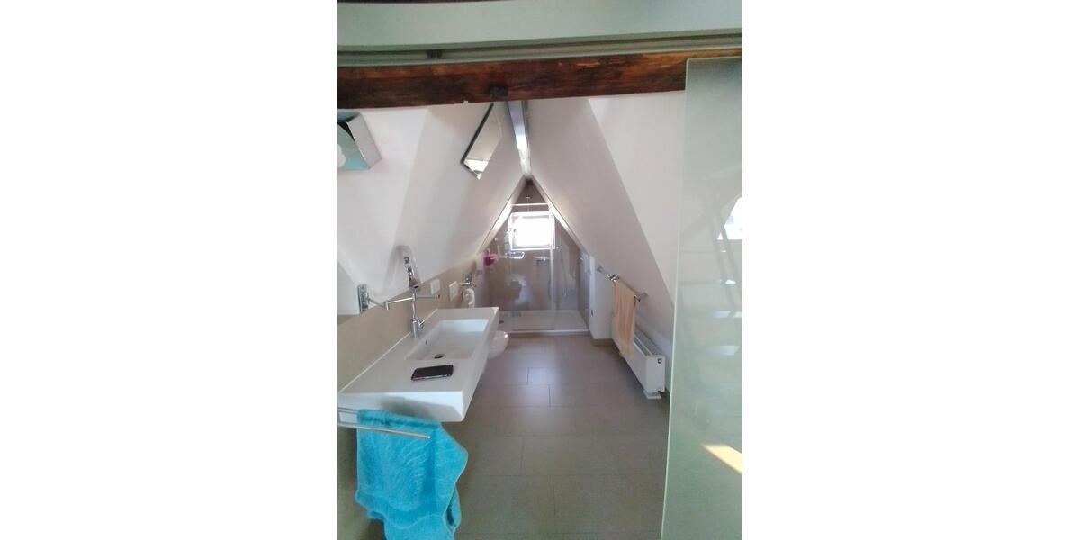 Dachgeschoßwohnung Esslingen am Neckar - 1 Zimmer, 50 m&sup2;, 750&euro; | Angebot:26694108