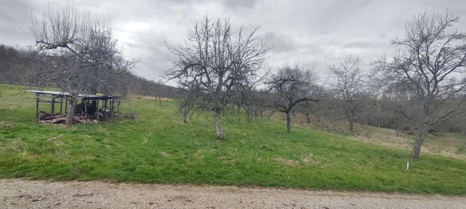 Grundstück Mössingen - 6.999&euro; | Angebot:17678153