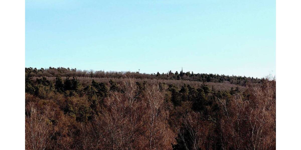 Etagenwohnung Leinfelden-Echterdingen Musberg - 3 Zimmer, 94 m&sup2;, 399.000&euro; | Angebot:25704093