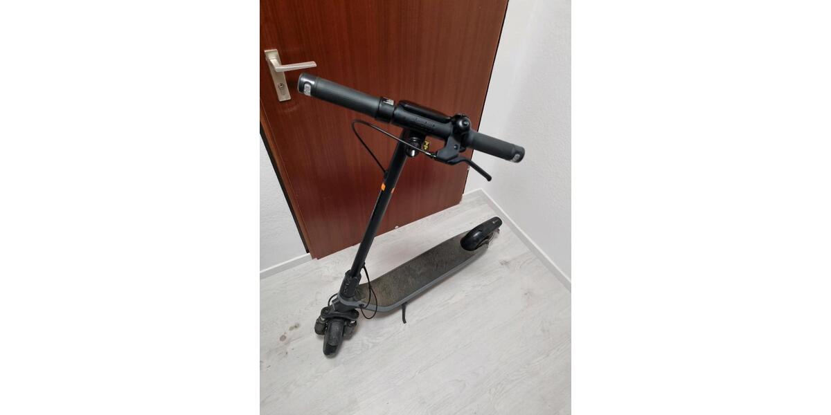 Etagenwohnung Kirchheim unter Teck - 2 Zimmer, 50 m&sup2;, 900&euro; | Angebot:25944160