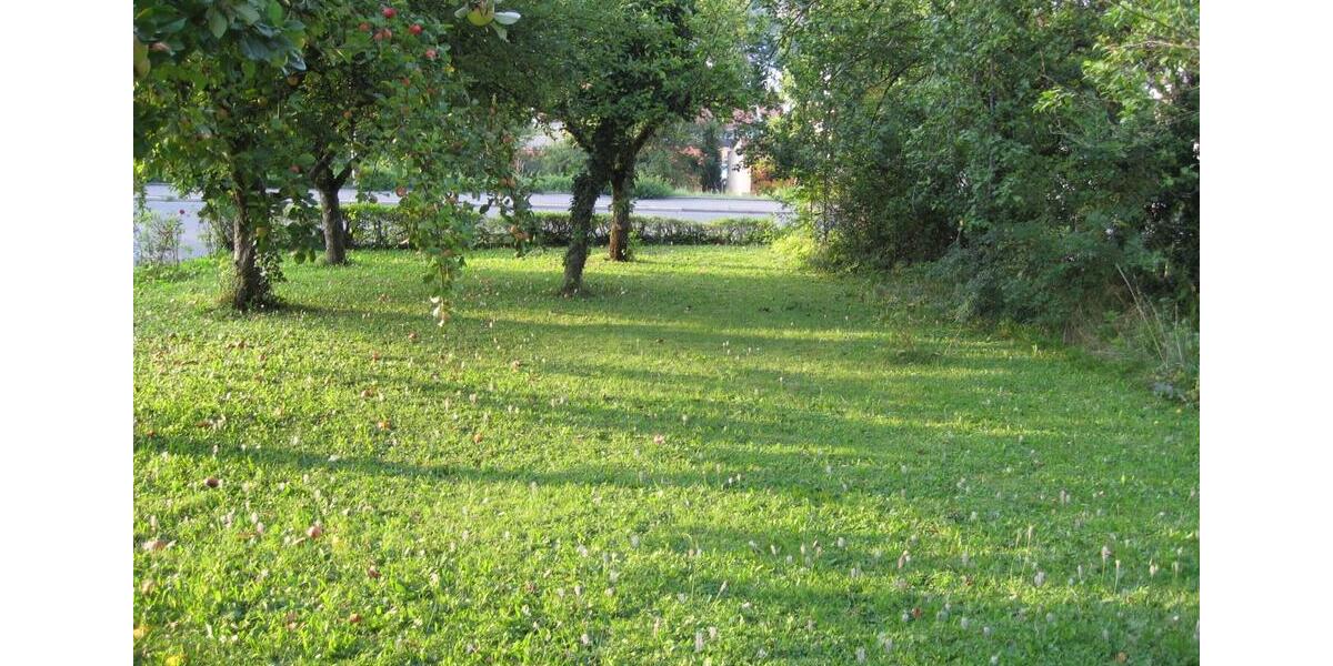 Erdgeschoßwohnung Rottenburg am Neckar - 1 Zimmer, 32 m&sup2;, 370&euro; | Angebot:26673966