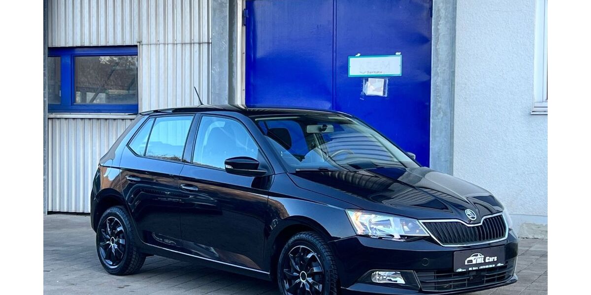 Skoda Fabia 64.000 km 8.490 &euro; Lichtenstein Unterhausen 72805