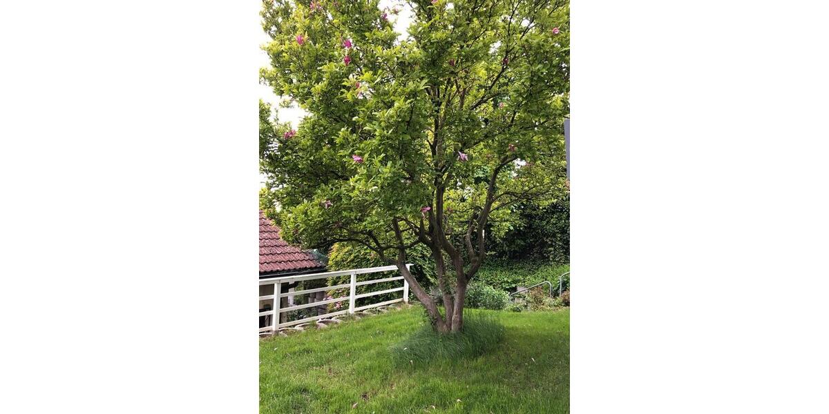 Erdgeschoßwohnung Plochingen - 2 Zimmer, 55 m&sup2;, 1.250&euro; | Angebot:26018595