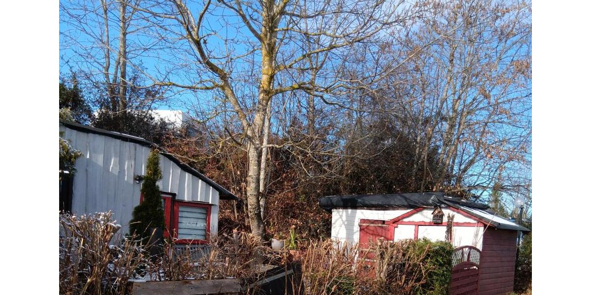 Einfamilienhaus Sonnenbühl - 2 Zimmer, 48 m&sup2;, 39.500&euro; | Angebot:24421309