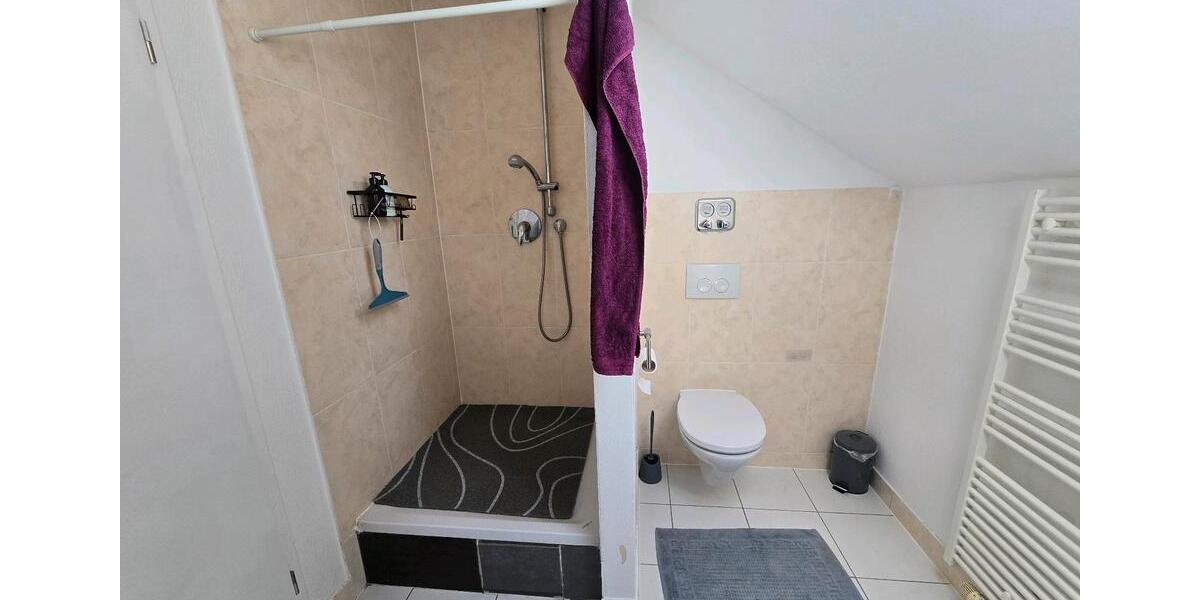 Dachgeschoßwohnung Tübingen Derendingen - 2 Zimmer, 50 m&sup2;, 1.150&euro; | Angebot:26619556