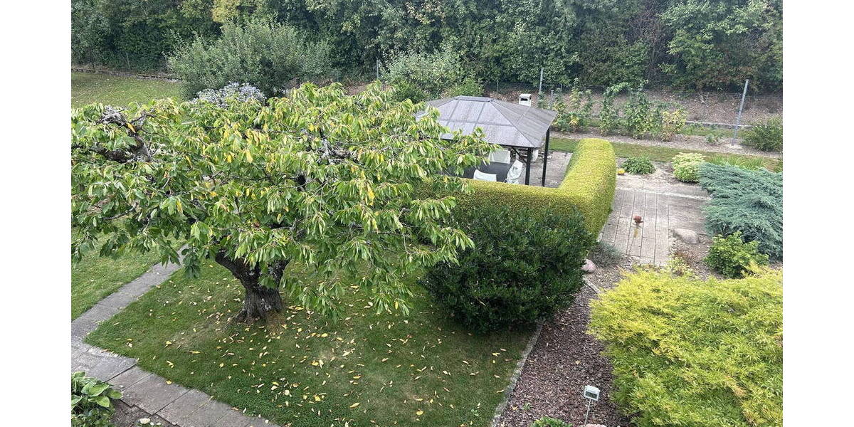 Mehrfamilienhaus, Wohnhaus Ehningen - 9 Zimmer, 250 m&sup2;, 875.000&euro; | Angebot:25654347