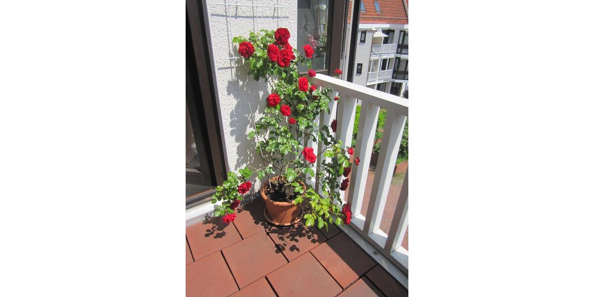 Maisonettenwohnung Pfullingen - 4 Zimmer, 111 m&sup2;, 389.000&euro; | Angebot:25179680