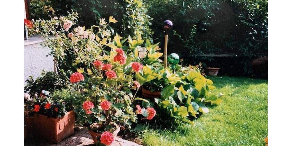 Einfamilienhaus Reutlingen-Gönningen Gönningen - 6 Zimmer, 190 m&sup2;, 790.000&euro; | Angebot:25728332