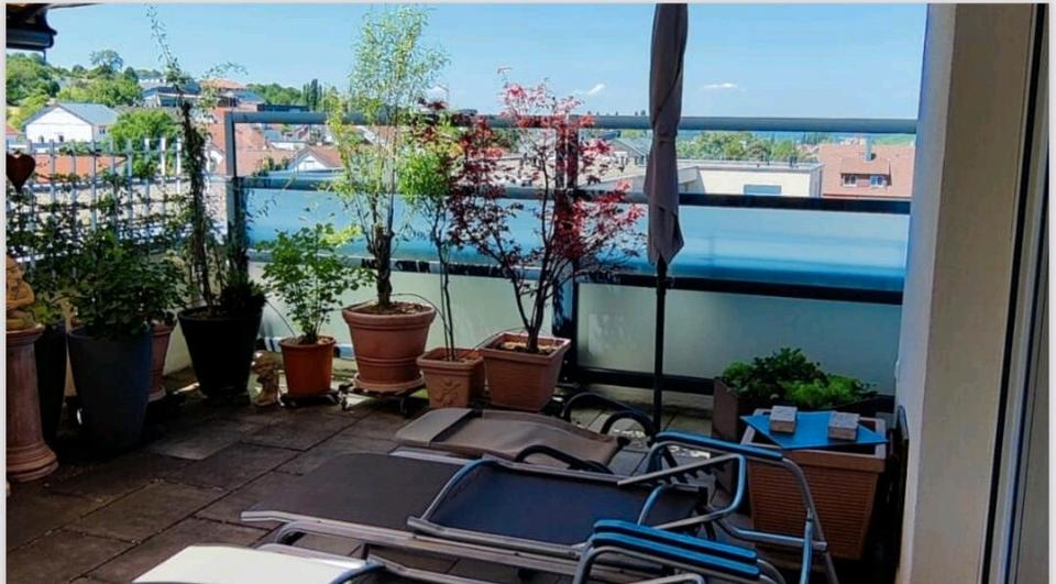 Einfamilienhaus Dettingen an der Erms - 3.5 Zimmer, 142 m&sup2;, 769.000&euro; | Angebot:27116781