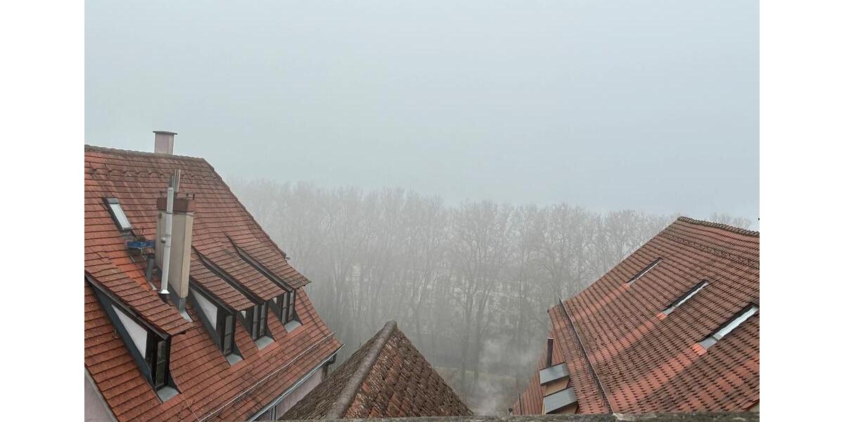 Etagenwohnung Kirchentellinsfurt - 2 Zimmer, 45 m&sup2;, 750&euro; | Angebot:24856068