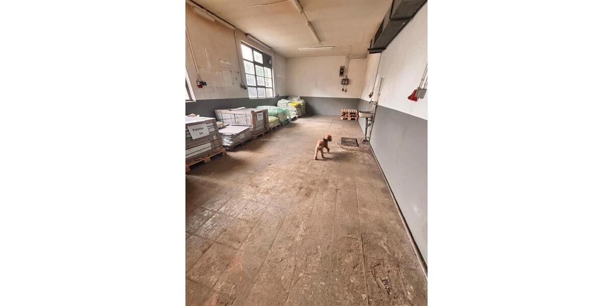 Gewerbeobjekt Bisingen - 250&euro; | Angebot:26677824