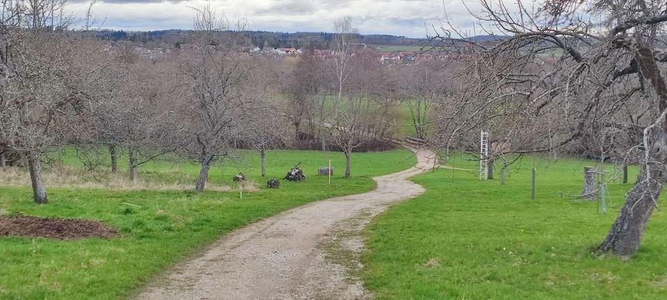 Grundstück Mössingen - 6.999&euro; | Angebot:17678153