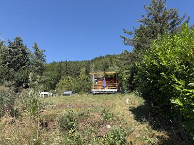 PANORAMABLICK & 1.100 QM ERHOLUNG PUR - Grundstück Rottenburg am Neckar | Angebot:27084818