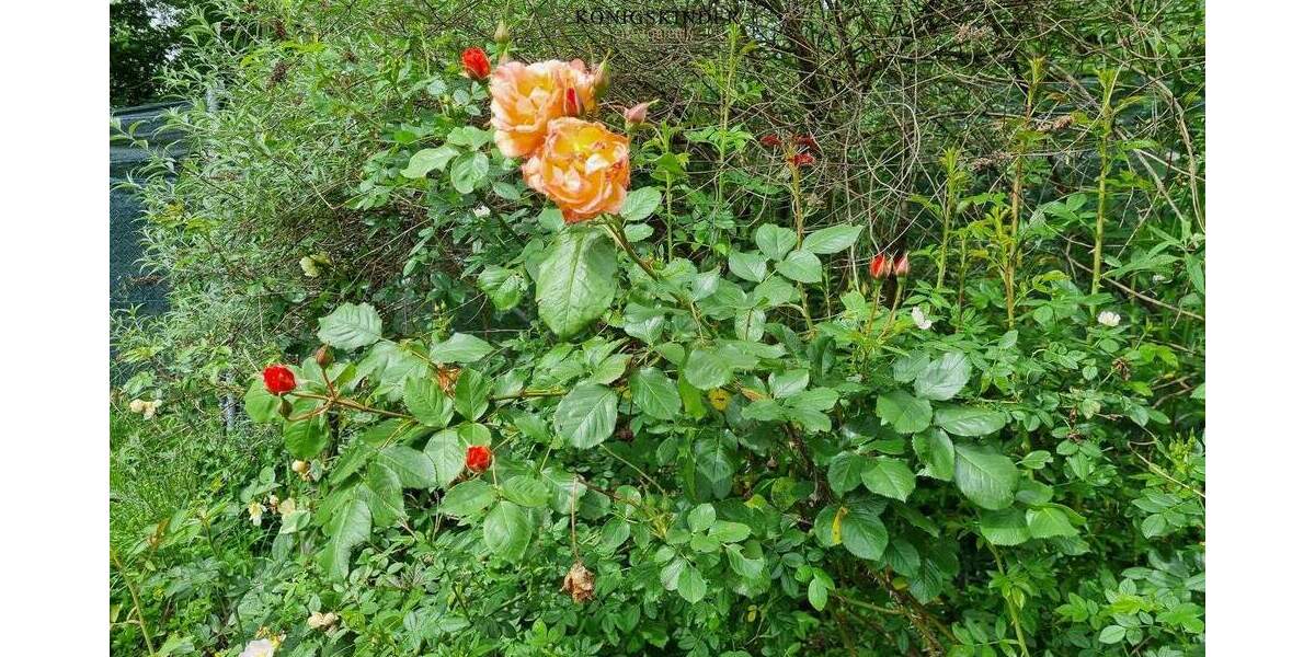 Grundstück Ostfildern Kemnat - 245.000&euro; | Angebot:25676074