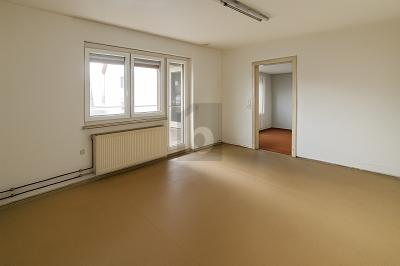 ENTWICKLUNGSOBJEKT MIT BAUPOTENZIAL - Bauernhaus, Landhaus Bisingen | Angebot:26643819